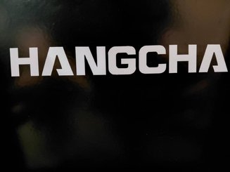 Electric lift table Hangcha 2005XB